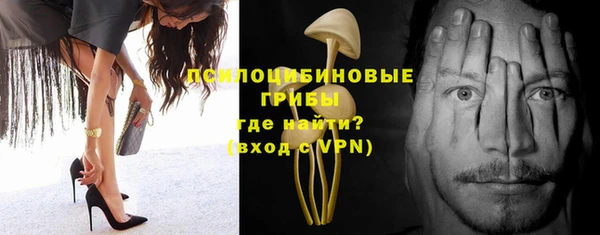 PSILOCYBIN Богородицк