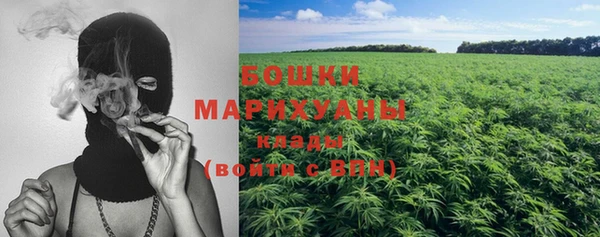 PSILOCYBIN Богородицк