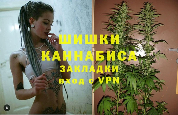 дживик Белоозёрский