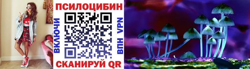 сколько стоит  Бикин  Галлюциногенные грибы мицелий 